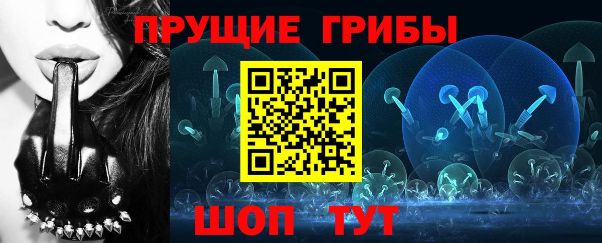 Галлюциногенные грибы прущие грибы  Вход с VPN  Тобольск  Галлюциногенные грибы Psilocybe 